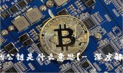 tpwallet上的公链是什么意思