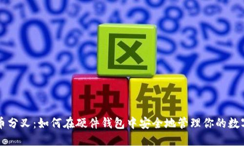 比特币分叉：如何在硬件钱包中安全地管理你的数字资产