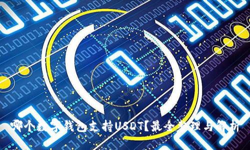 哪个数字钱包支持USDT？最全整理与解析