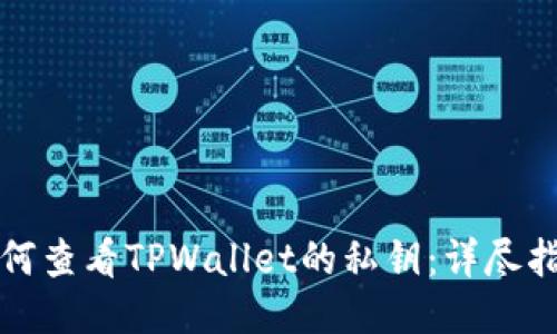 如何查看TPWallet的私钥：详尽指南