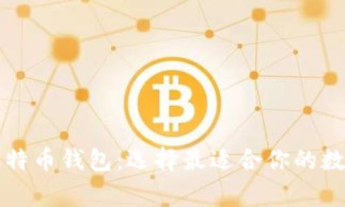 深入了解常见比特币钱包：选择最适合你的数字资产安全方案