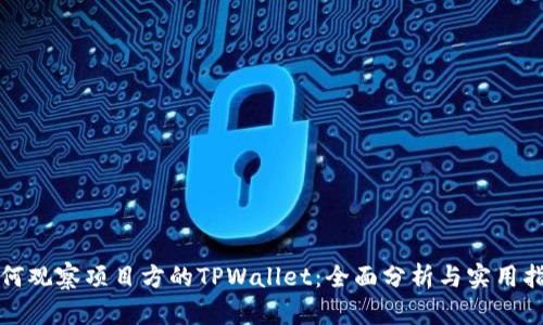 如何观察项目方的TPWallet：全面分析与实用指南