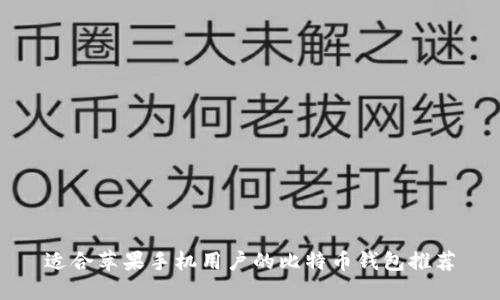 适合苹果手机用户的比特币钱包推荐