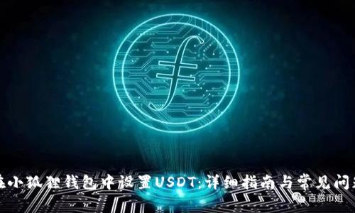 如何在小狐狸钱包中设置USDT：详细指南与常见问题解答