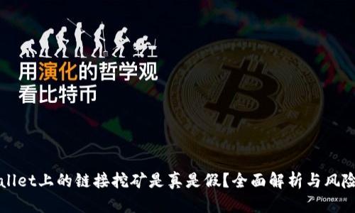 TPWallet上的链接挖矿是真是假？全面解析与风险提示