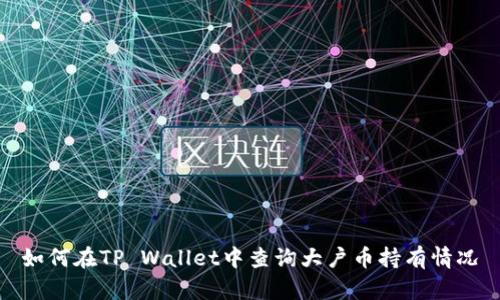 如何在TP Wallet中查询大户币持有情况