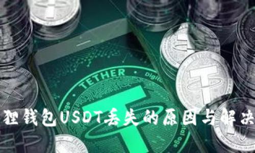 小狐狸钱包USDT丢失的原因与解决方案