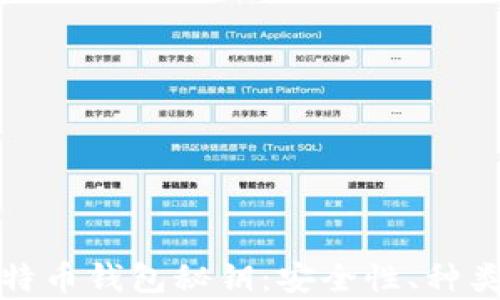 
全面解析比特币钱包秘钥：安全性、种类与管理技巧