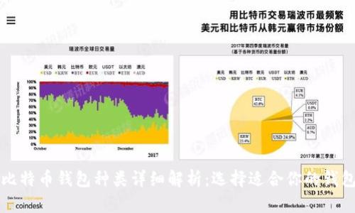 比特币钱包种类详细解析：选择适合你的钱包