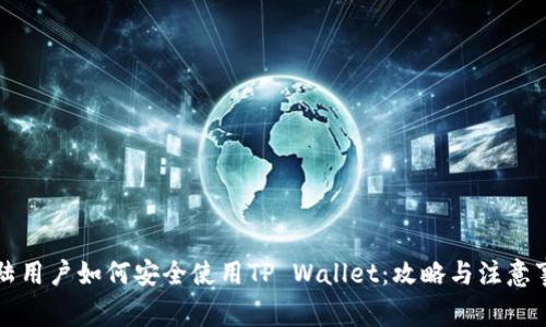 大陆用户如何安全使用TP Wallet：攻略与注意事项