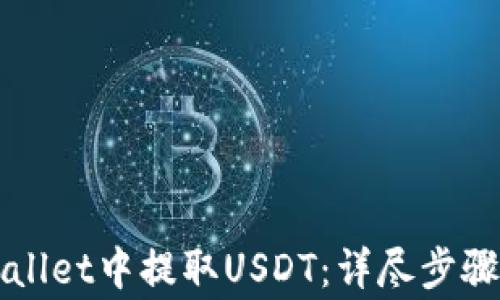 
如何在TPWallet中提取USDT：详尽步骤与注意事项