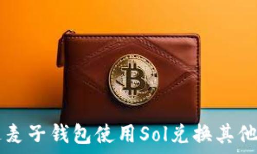   
如何通过麦子钱包使用Sol兑换其他加密货币