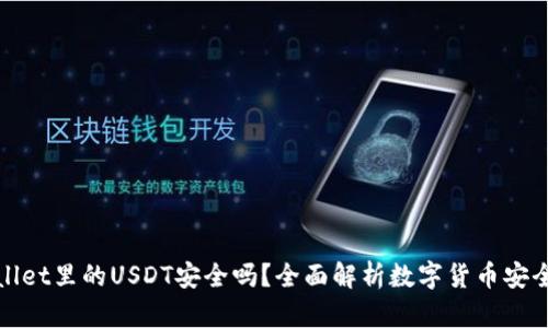 TPWallet里的USDT安全吗？全面解析数字货币安全机制