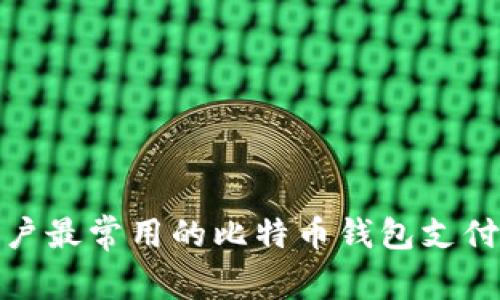 : 美国用户最常用的比特币钱包支付方式解析