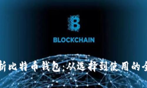 全面解析比特币钱包：从选择到使用的全面指南