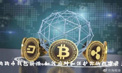 狗狗币钱包崩溃:如何应对和保护你的数字资产