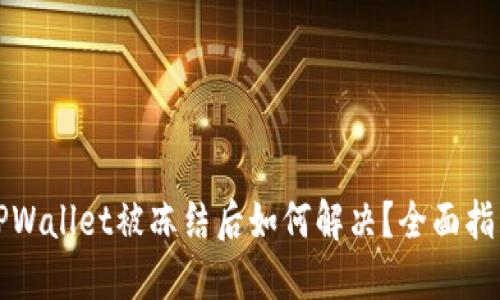 TPWallet被冻结后如何解决?全面指南