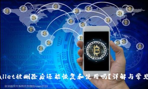 TPWallet被删除后还能恢复和使用吗?详解与常见问题