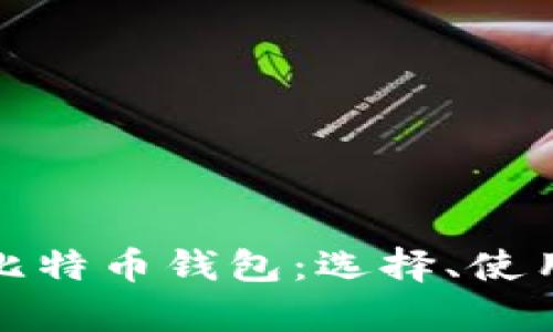全面解析比特币钱包:选择、使用与安全性
