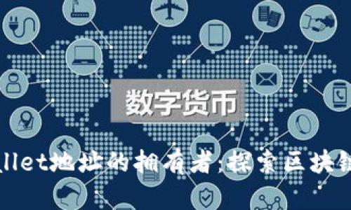 如何查询TPWallet地址的拥有者：探索区块链隐私与透明性