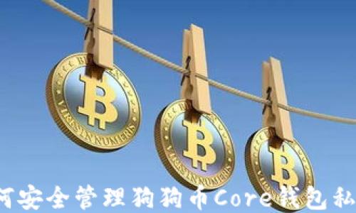 
如何安全管理狗狗币Core钱包私钥？