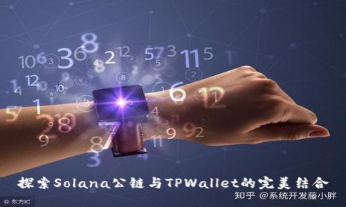 探索Solana公链与TPWallet的完美结合
