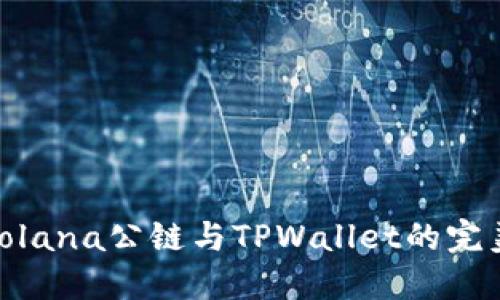 探索Solana公链与TPWallet的完美结合