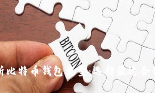 全面解析比特币钱包类型:选择最适合你的钱包