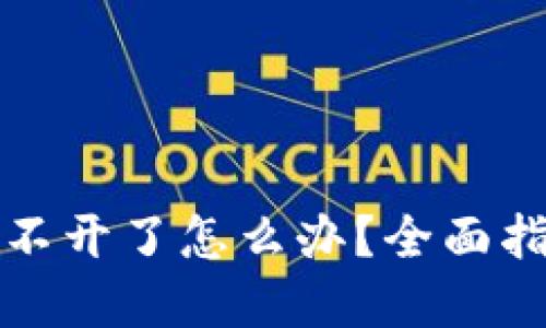 比特币钱包打不开了怎么办?全面指南与解决方案