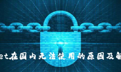 TPWallet在国内无法使用的原因及解决方案