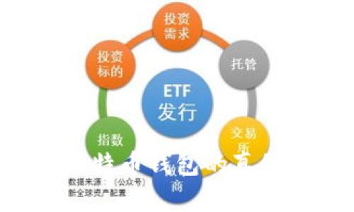 如何鉴别比特币钱包的真假:全面指南