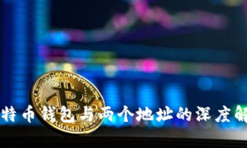 比特币钱包与两个地址的深度解析