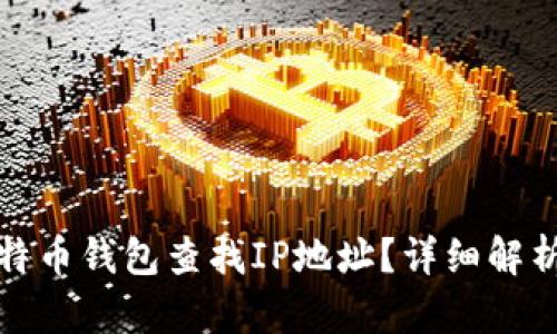 如何通过比特币钱包查找IP地址?详细解析与实用技巧