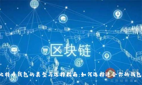 比特币钱包的类型与选择指南:如何选择适合你的钱包?
