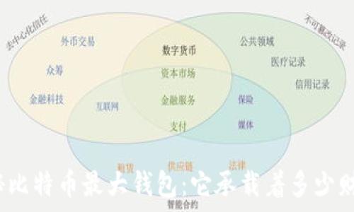 揭秘比特币最大钱包:它承载着多少财富?