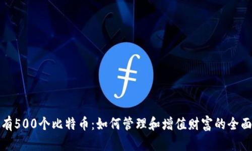 : 拥有500个比特币:如何管理和增值财富的全面指南