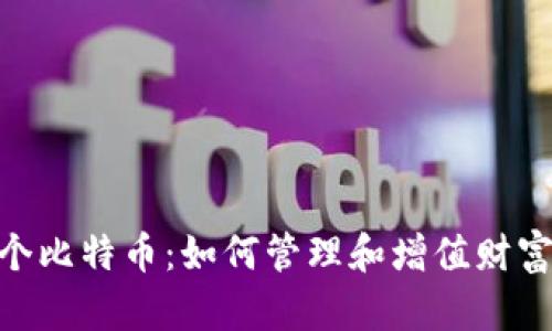 : 拥有500个比特币:如何管理和增值财富的全面指南