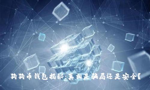 狗狗币钱包揭秘:真相是骗局还是安全?