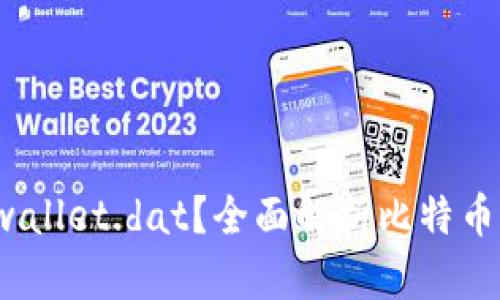 什么是比特币钱包 wallet.dat?全面解析比特币钱包的功能与安全性