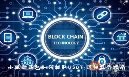 小狐狸钱包如何提取USDT:详细操作指南