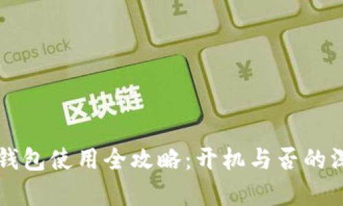 比特币钱包使用全攻略:开机与否的深层解析