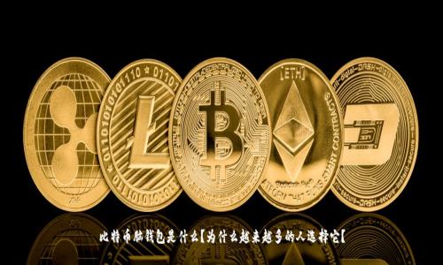 比特币脑钱包是什么?为什么越来越多的人选择它?