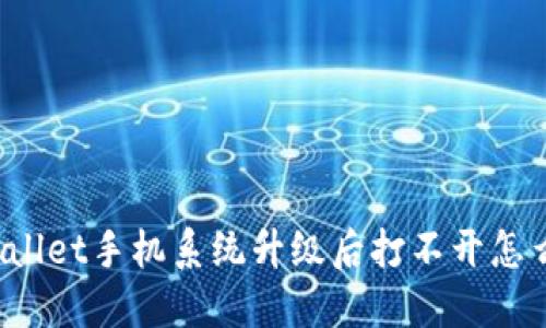 TPWallet手机系统升级后打不开怎么办?