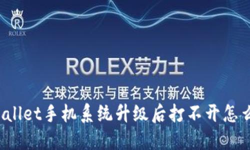TPWallet手机系统升级后打不开怎么办?