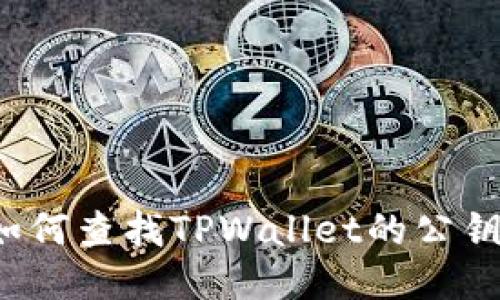 如何查找TPWallet的公钥?