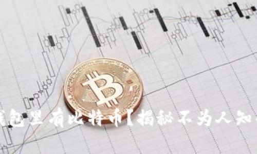  什么钱包里有比特币？揭秘不为人知的真相！