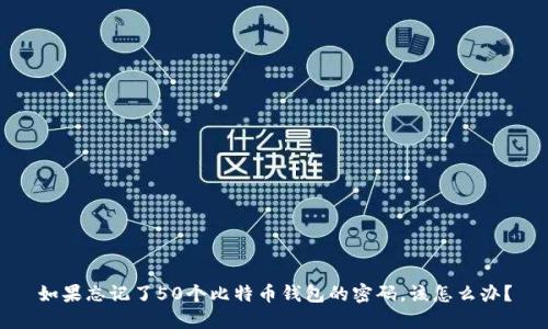 如果忘记了50个比特币钱包的密码,该怎么办?