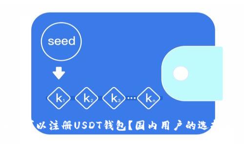 在哪里可以注册USDT钱包?国内用户的选择与建议