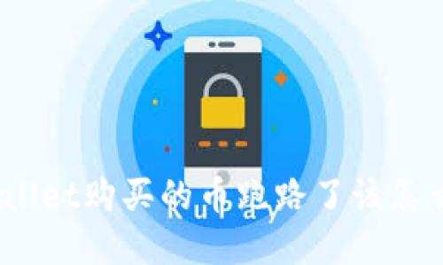 tpwallet购买的币跑路了该怎么办?