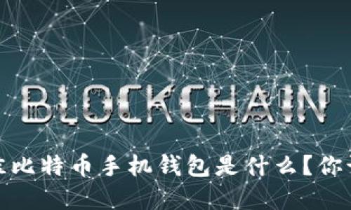 2023年最佳比特币手机钱包是什么?你该如何选择?